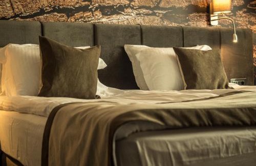 Sapareva Banya Hotel | The Five Elements Hotel and SPA