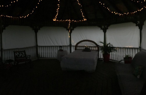 Howick Cabin | The Flamingo’s Nest!