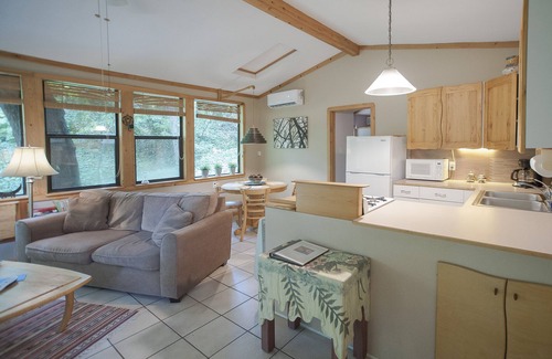 Travis Heights House | The Forest Retreat: Minutes to SOCO & center yet nestled in the quiet forest.