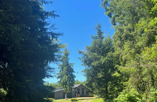 Forks Cabin | The Forest Retreat