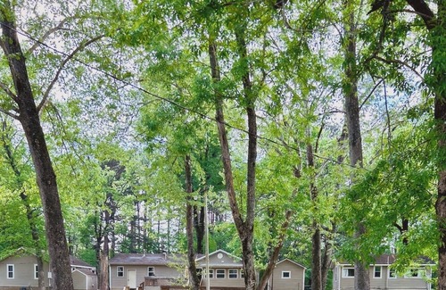Piedmont Cabin | The Forest Trails Cabin