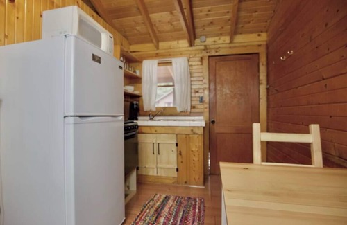 Lake City Cabin | The Forget-Me-Not Cabin with Mountain Views