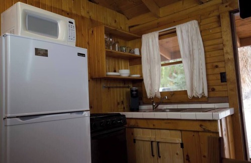 Lake City Cabin | The Forget-Me-Not Cabin with Mountain Views