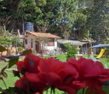 Usaquen House | The Frailejon House