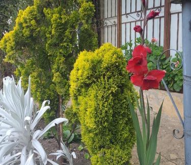 Usaquen House | The Frailejon House