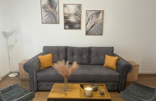 Sfantu Gheorghe Apartment | The Future Residence