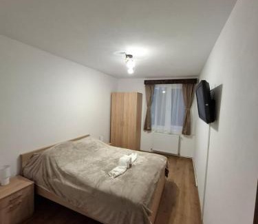Sfantu Gheorghe Apartment | The Future Residence