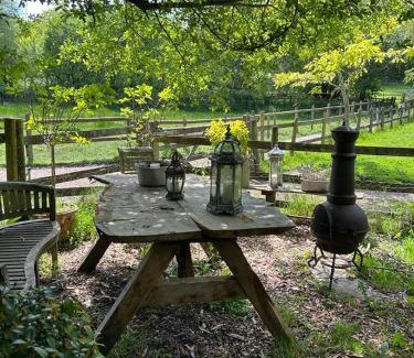 New Forest District House | The Garden Room