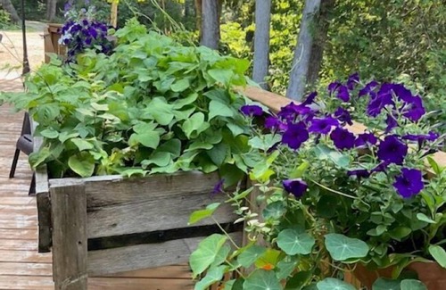 Limerick Bed & Breakfast | The Gathering Place on Golden Ponds