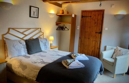 Knighton Hotel | The George and Dragon Inn