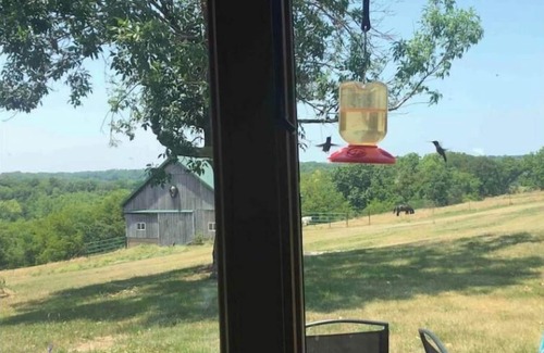 Jamestown House | The Getaway at Horse View Farm Long term available