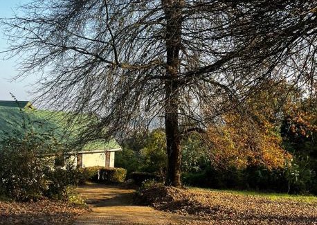 Balgowan House | The Glades Cottage