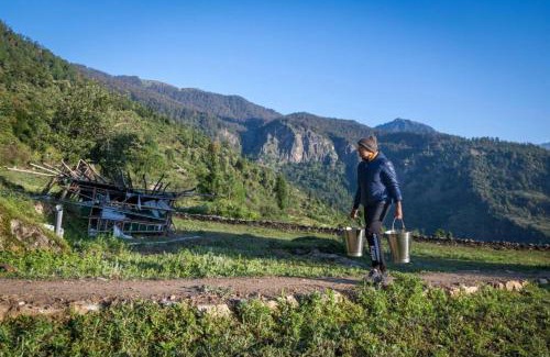 Kharsali House | The Goat Village, Dayara Bugyal
