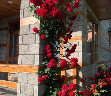 Manali Cabin | The Green Mountain Lodge