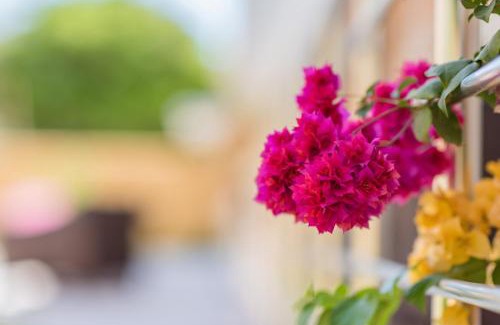 Oyster Bay Apartment | The Green of Oysterbay