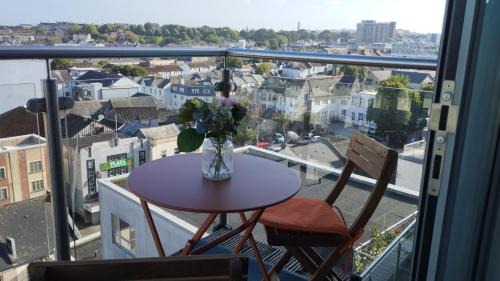 Plymouth Apartment | The Green Top flat with parking included amazing views and perfect location