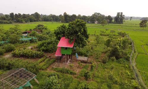 Kumai House | The GreyStone FarmHouse, Turibari