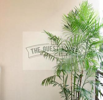Lucena House | The Guest House