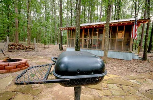 Tyler Cabin | The Happy Pine Cone :)
