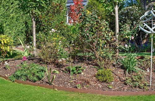 Moss Vale Cottage | The Hen's Den, Moss Vale