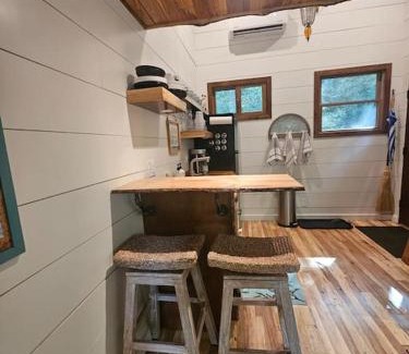 Elizabethton House | The Hidden Hemlock Tree House