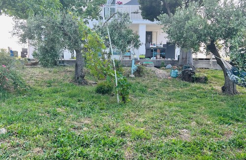 Atessa Apartment | The hill in a room Typical Abruzzo countryside between Majella and the sea