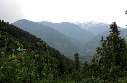 Naggar Bed & Breakfast | The Himalayan Stay Bnb