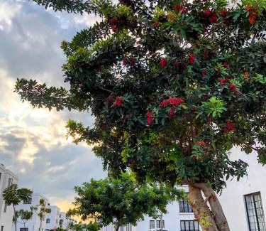 Kiambu Apartment | The House Beautiful, Tatu City