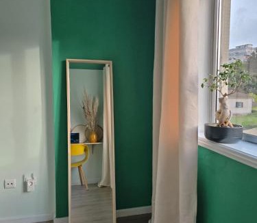 Oliveira do Douro House | The House of Cats