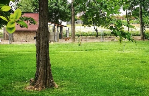 Pozzonovo Apartment | The house on Via Argine, the flavors and colors of the countryside