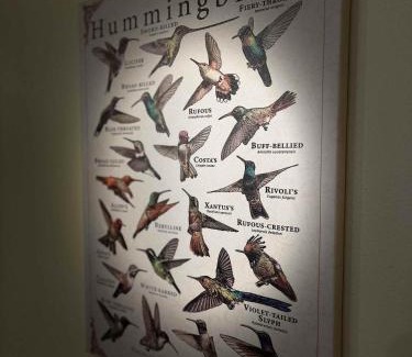 Glendale House | The Hummingbird at Zen Zion