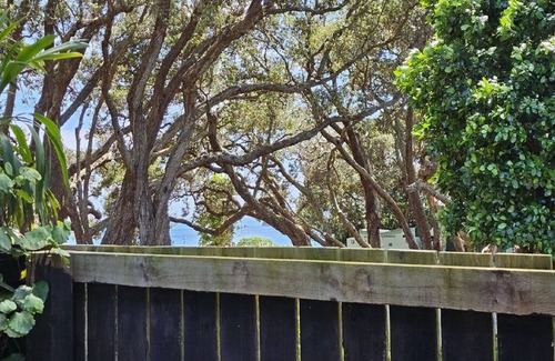 Whiritoa House | The Iconic Log Cabin By the Sea- Pets welcome! Spa! Pool Table/Ping Pong!