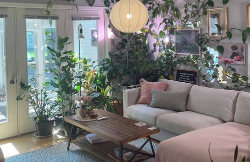 Summit - University House | The Jungle House- Sunny, Cheerful, Townhouse.