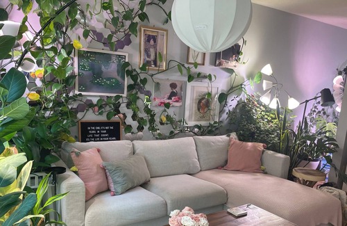 Summit - University House | The Jungle House- Sunny, Cheerful, Townhouse.