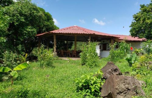 Merida Cabin | The Jungle