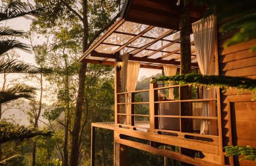 Doi Saket Resort | The Jungle Touch