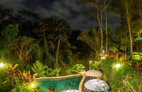 Penestanan Villa | The Jungle Villa Kelapa Ubud Bali