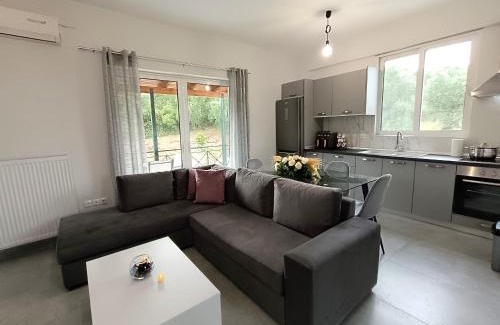 Agios Ioannis Apartment | The lake project