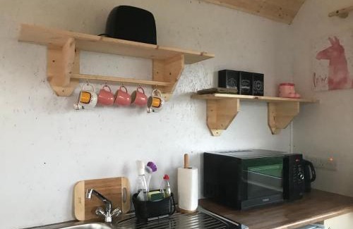 Ballyshannon Apartment | The Lazy Llama Farm Stay Shepherd Hut