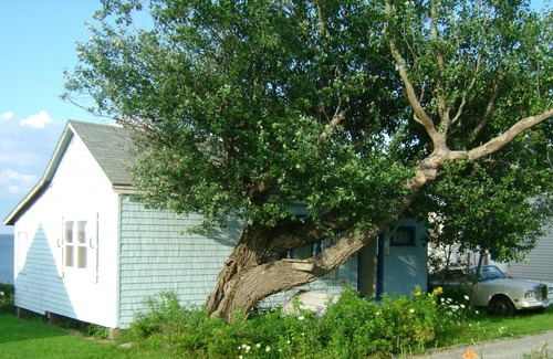 Port Howe Cottage | The Little Blue Cottage on Heather Beach
