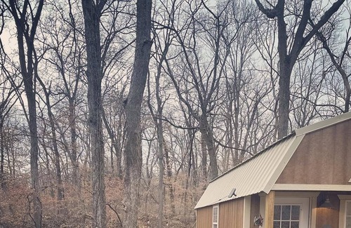 Clinton County Cottage | The little cottage In the woods