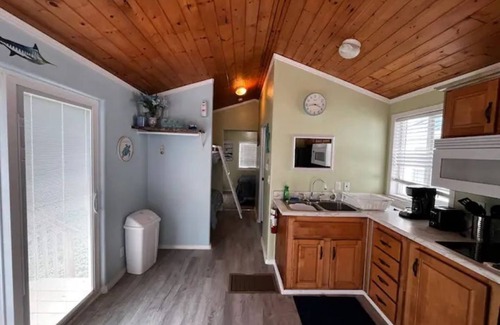 Harlingen Cabin | The Majestic Marlin, with Pool!