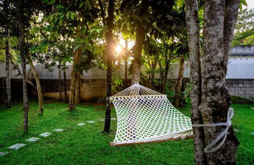 Sea View Ward House | The Mayflower - Heritage Villa
