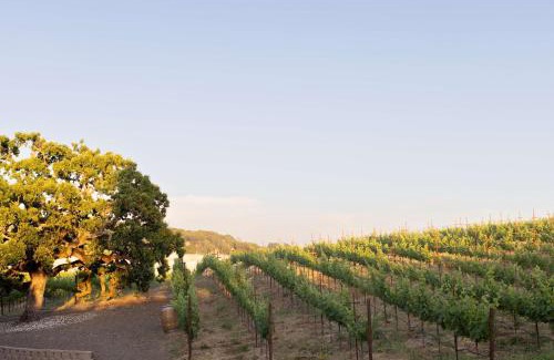 Napa Resort | The Meritage Resort and Spa