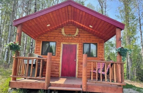 Winfield Cabin | The Moose cabin - Bear Creek Cabins