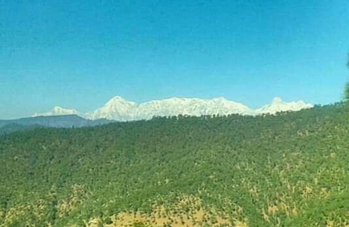 Almora House | The Mountain Home Stay