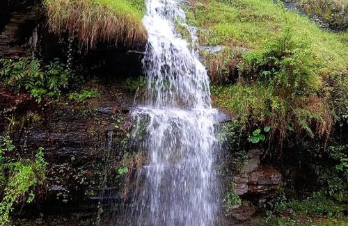 Almora House | The Mountain Home Stay