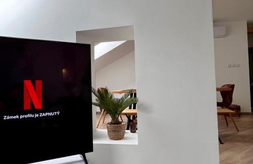 Jesenik Apartment | The Mountain Sky Apartment - prostorný loft 198 m2 s lesem za okny vhodný pro rodiny s dětmi, terasa, dětský koutek, parkování zdarma