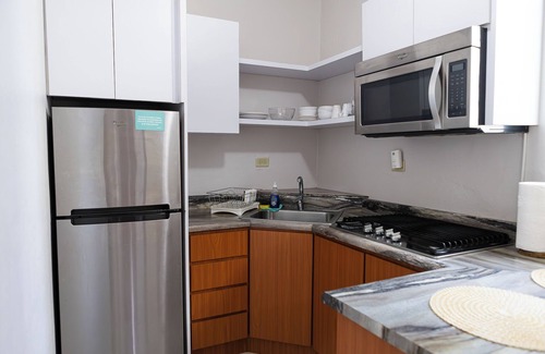 San Mateo Apartment | The Mural at San Juan 102- Modern apt with washer & dryer in unit and w/parking