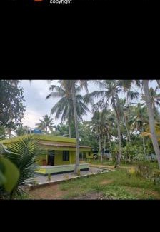 Munroe Island Cabin | The Natural Homestay Vasudha Farm House